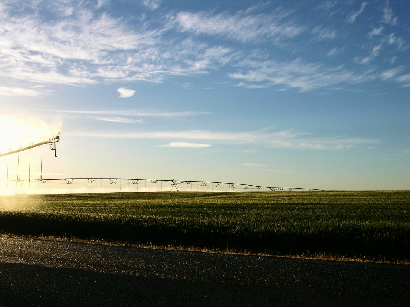 A pivot irrigating a field. Seventy percent of the world's water goes here, and none of it can be desalinated at a price a farm can pay.
