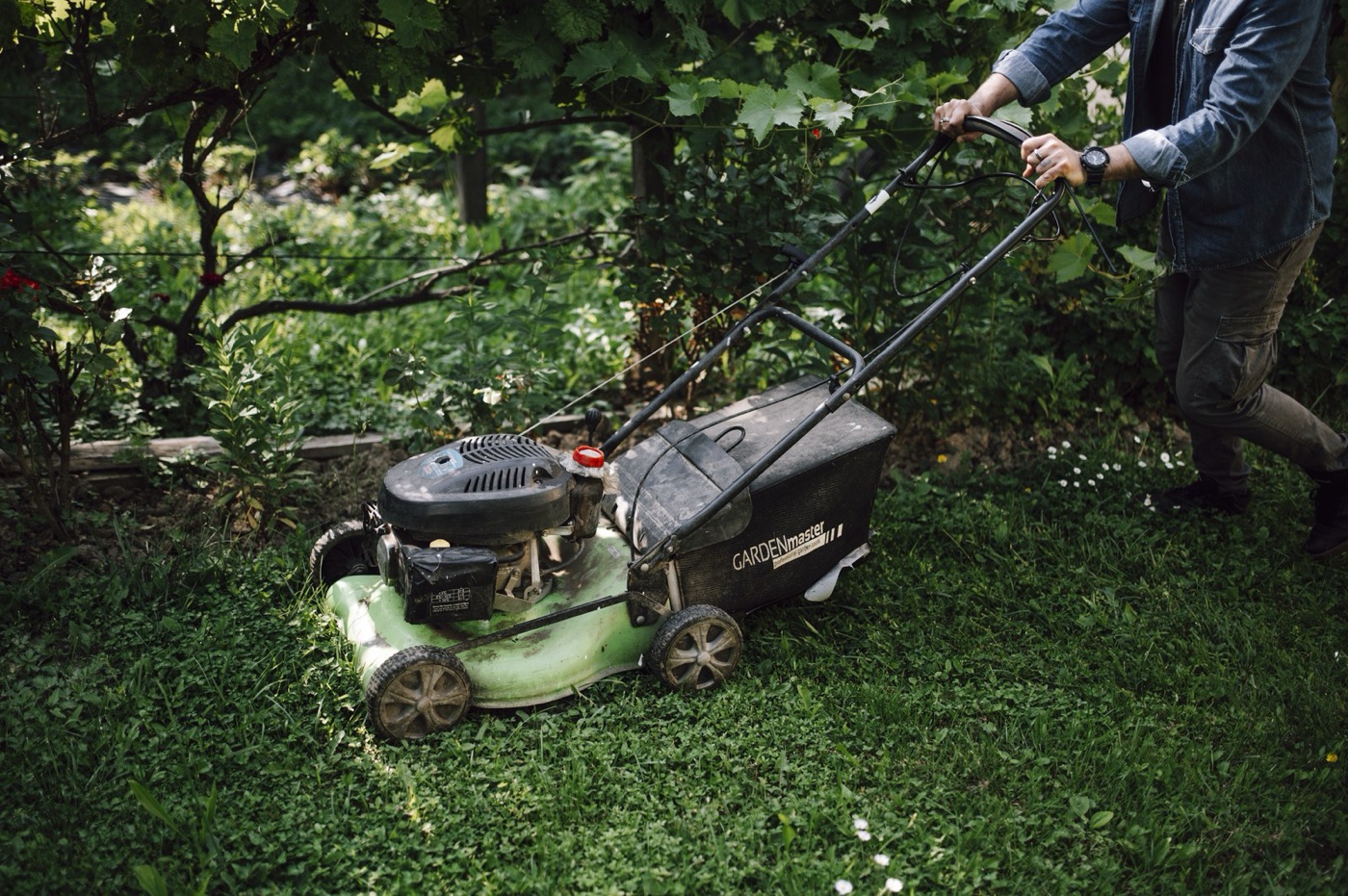 Mowing. A lawn is a crop that is cut before it flowers and never harvested.