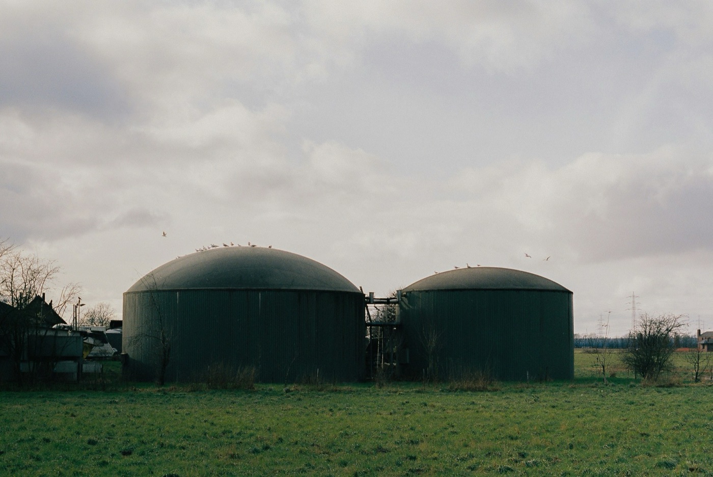 Digesters at a treatment plant. Something is having dinner in there, and the plant runs partly on what it gives off.
