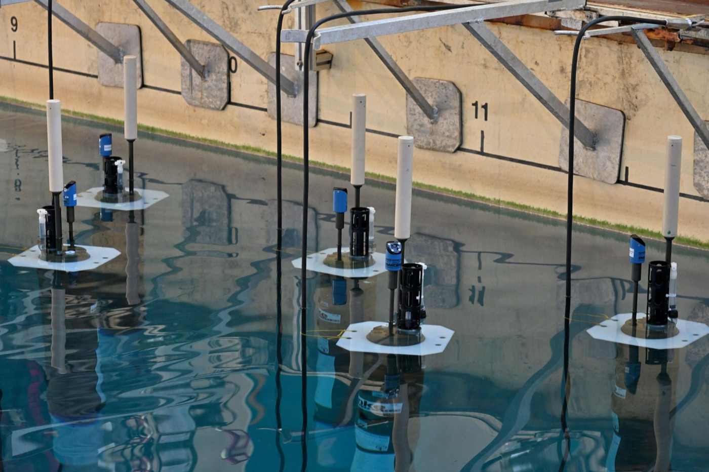 Dissolved oxygen probes in a tank. Oxygen is the currency of the test, and of the river.