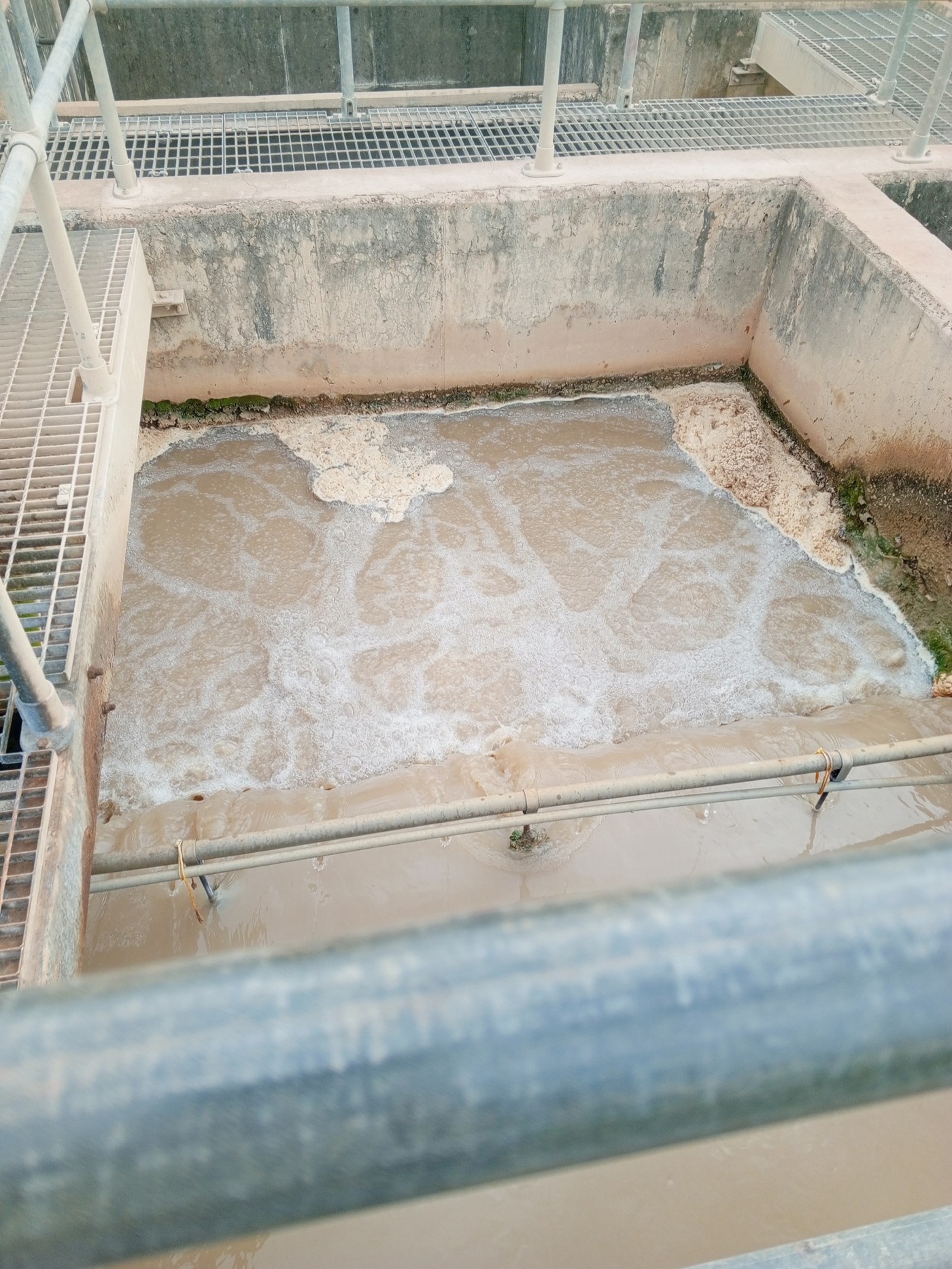 Flocs forming in a treatment basin. The coagulant has gathered the fine particles into clumps heavy enough to sink.