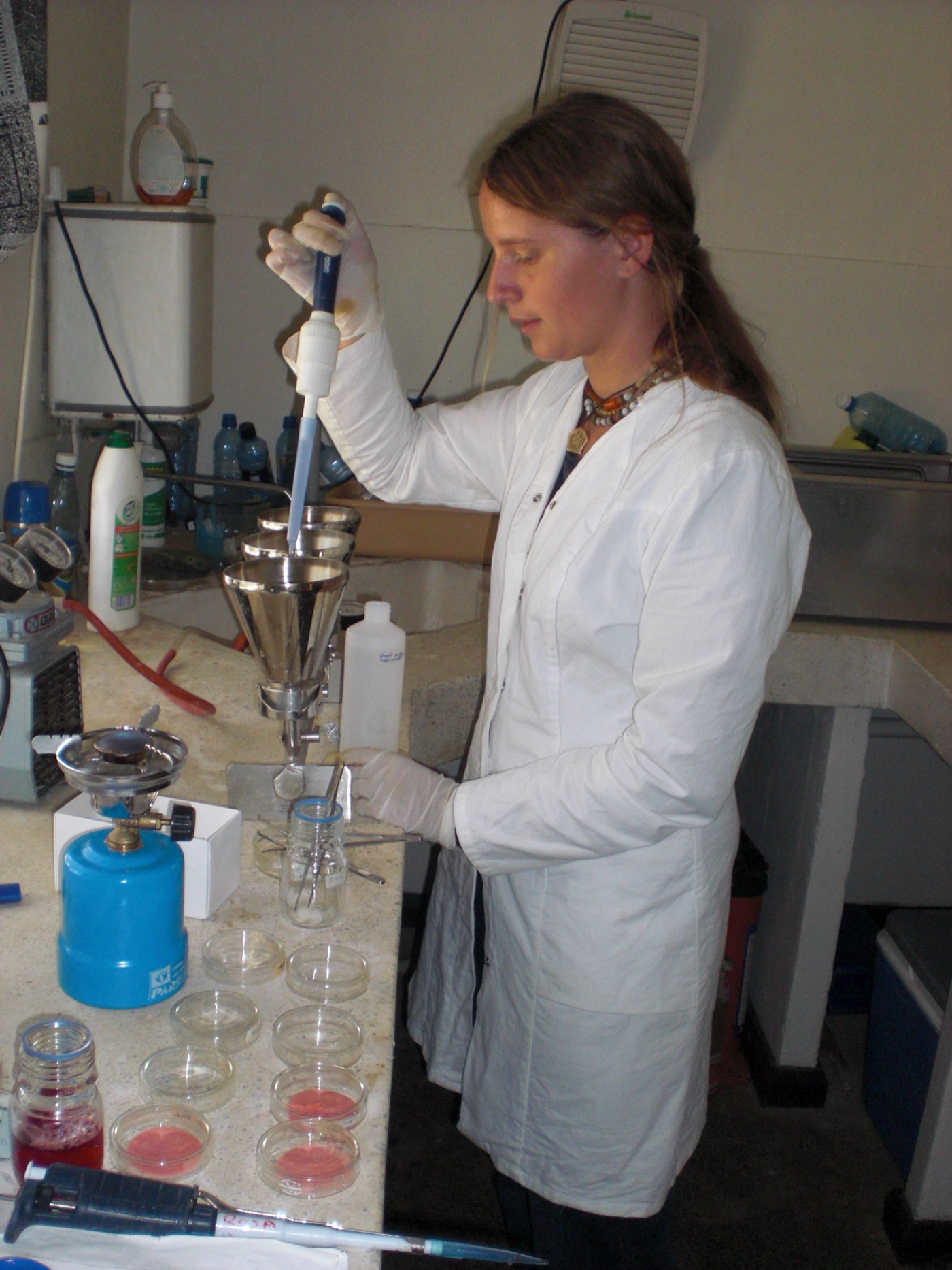 A faecal coliform analysis. The count is read the morning after the sample, and a works does not wait for it.