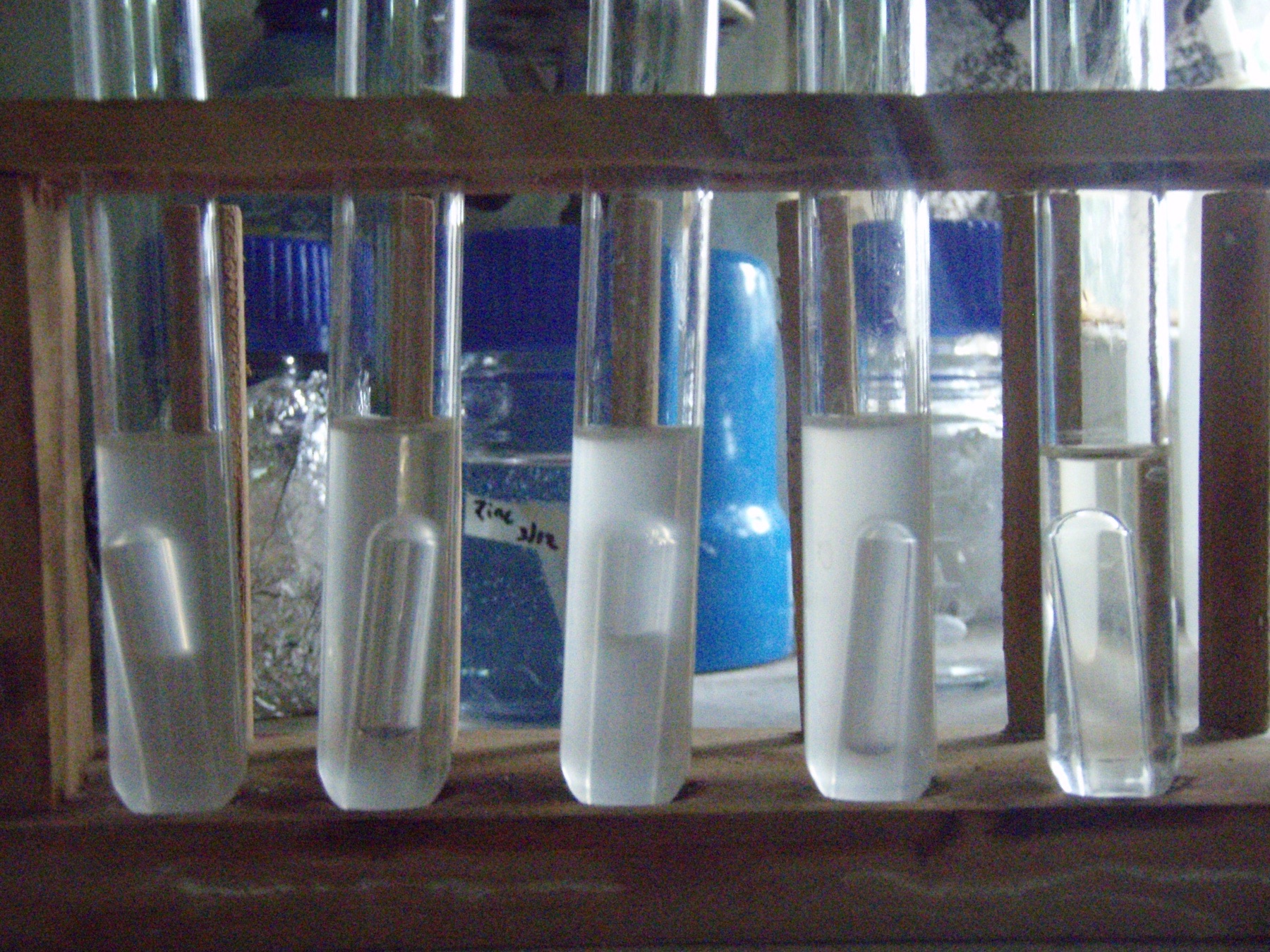 Tubes from a faecal coliform test in a water laboratory
