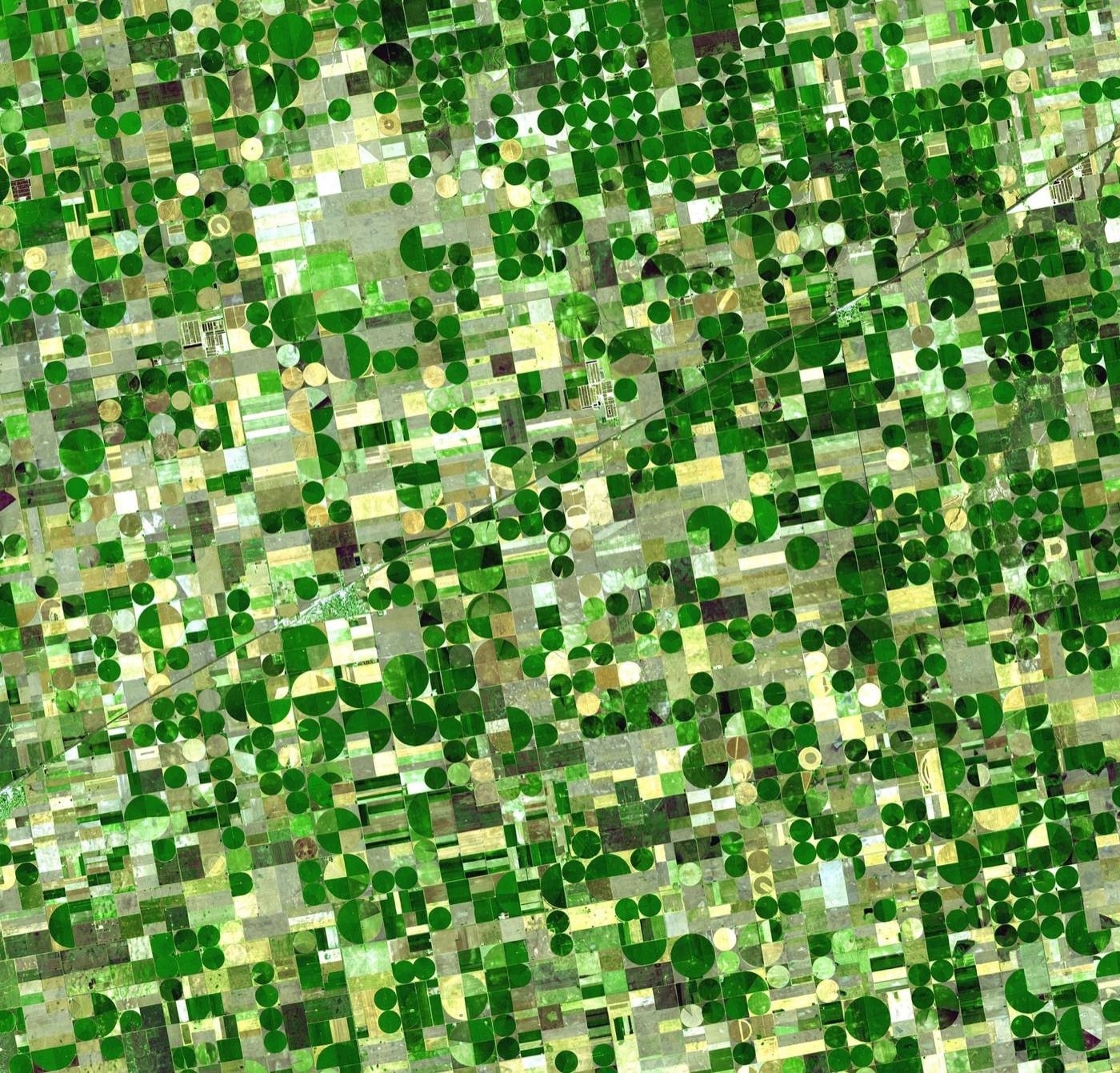 Irrigation circles in Kansas from orbit, watered from the Ogallala, a fossil aquifer that refills at a few millimetres a year.