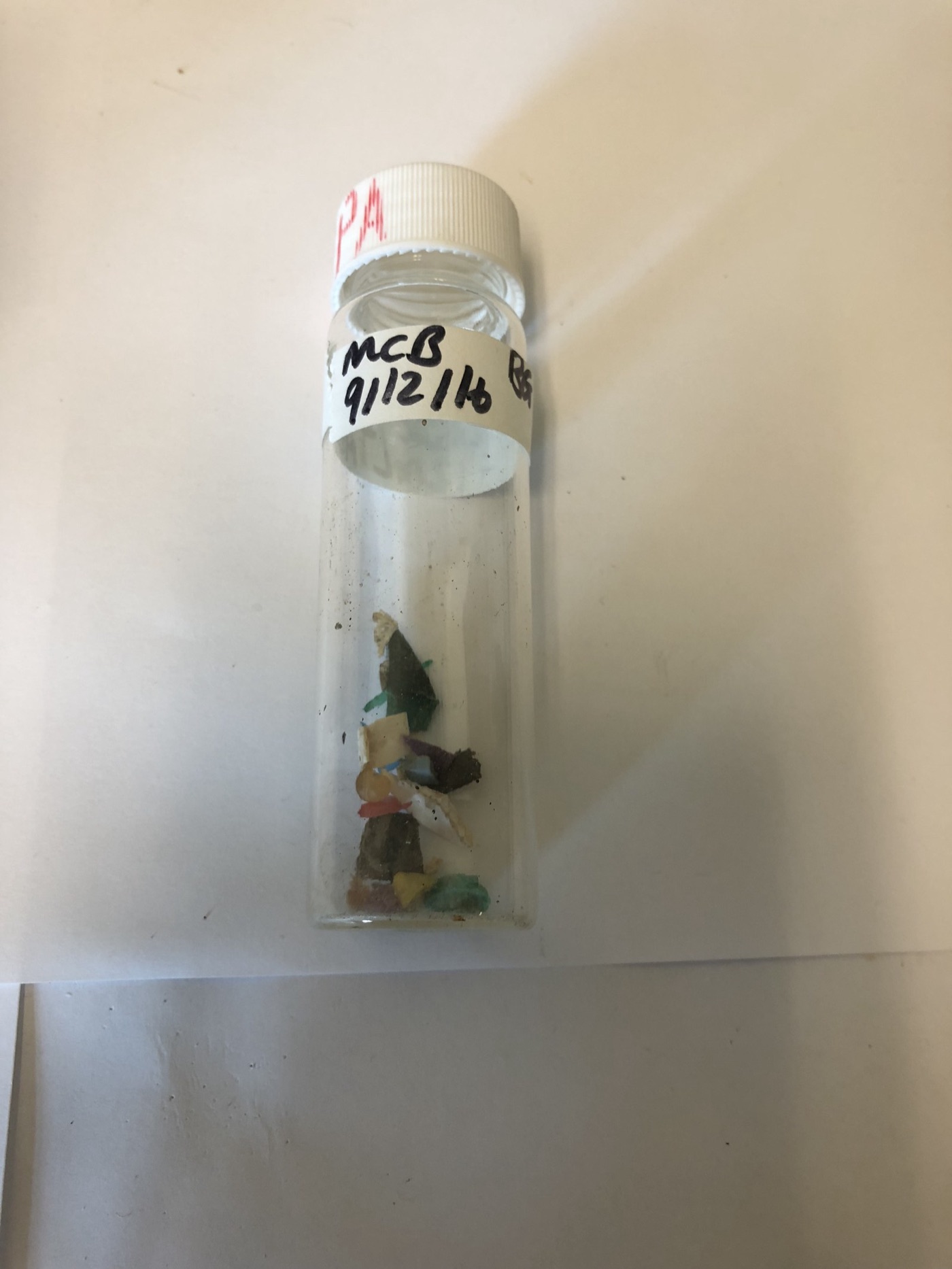 A vial of microplastics picked from a beach. The ones that matter most are too small to see.
