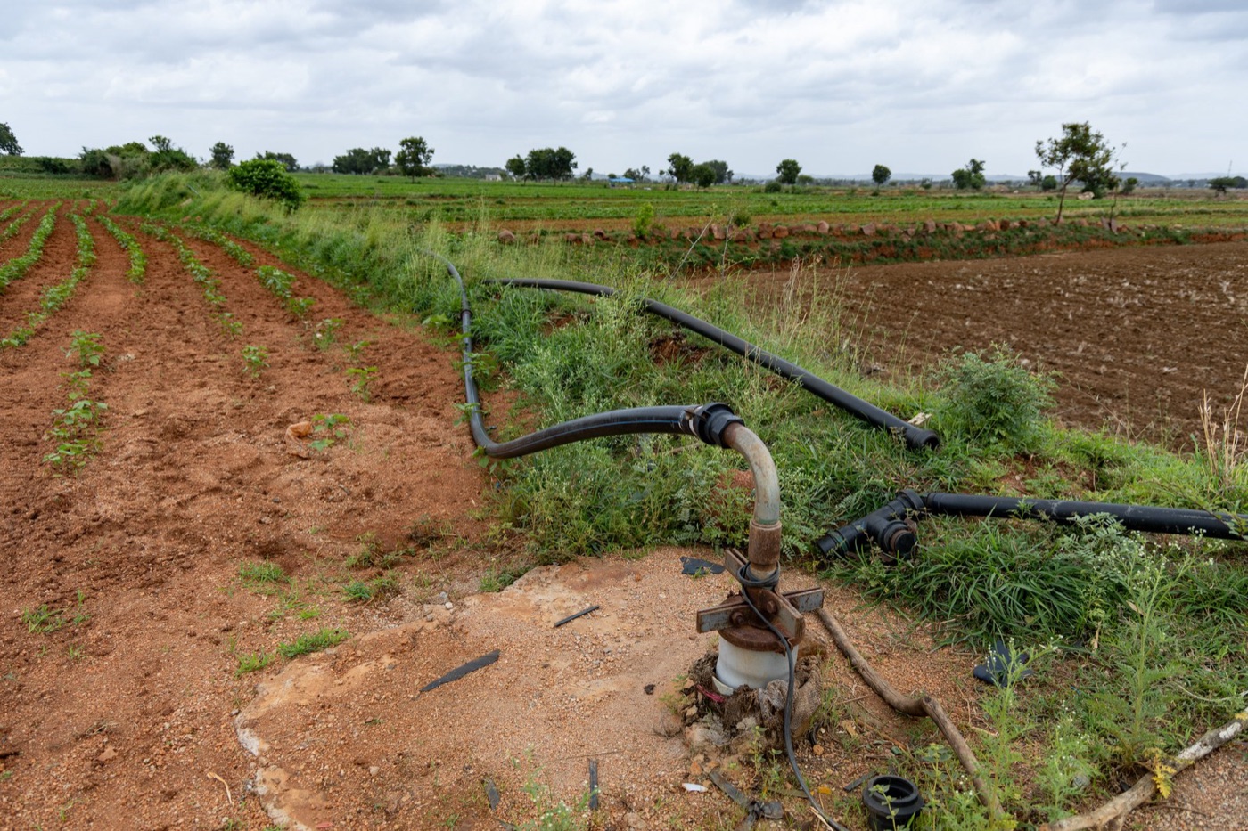 A borewell pump on a farm in Karnataka, India. What was spread on the field above comes back up here, years later.