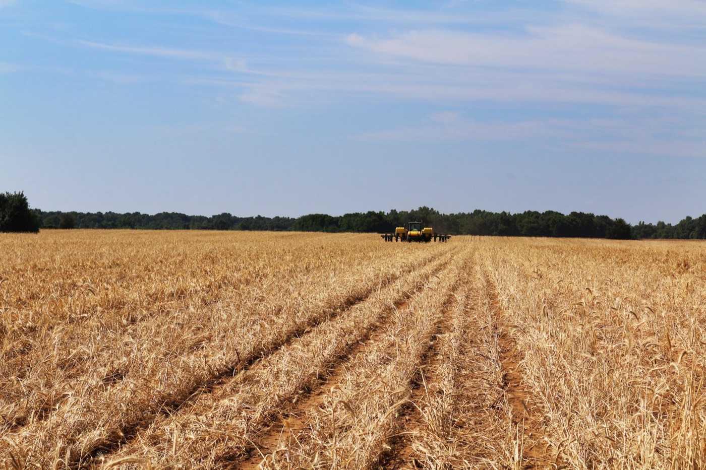 Planting into a winter cover crop. Living roots through the wet months are the cheapest way to keep nitrate out of the water.