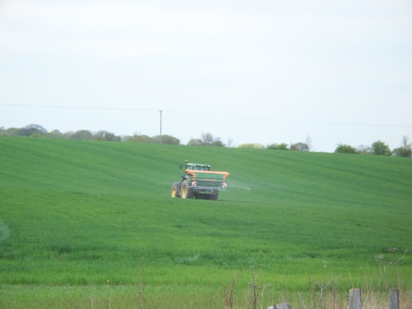 Spreading fertiliser. What the crop does not take, the rain carries to the river.