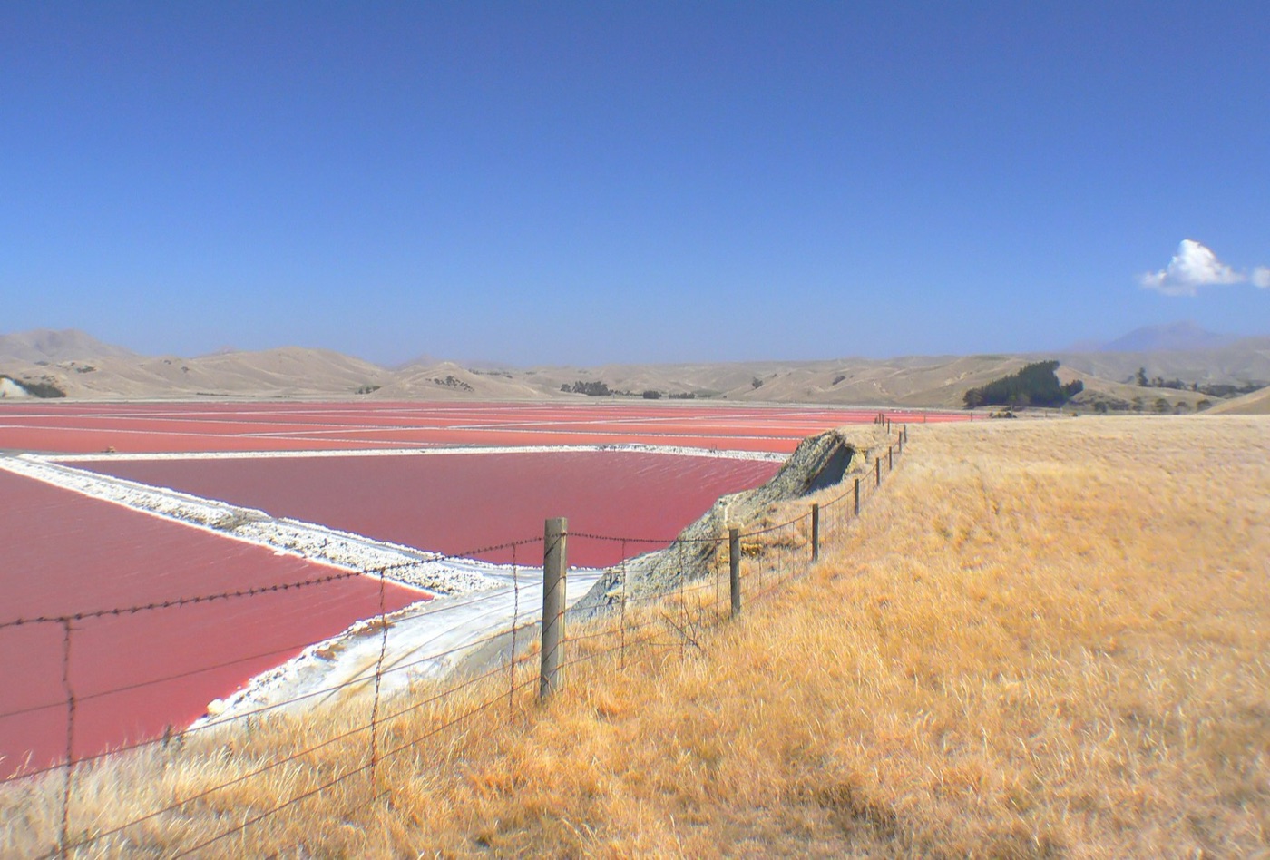 A salt evaporation pond. The sun takes the water and leaves everything that was dissolved in it behind.