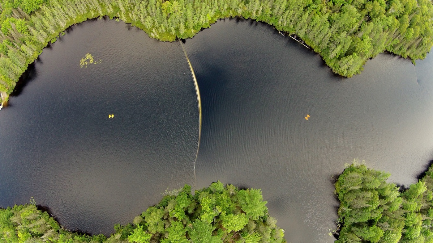 Secchi disks. The white disk is lowered until it vanishes, which has been the lake surveyor's turbidity for a century and a half.