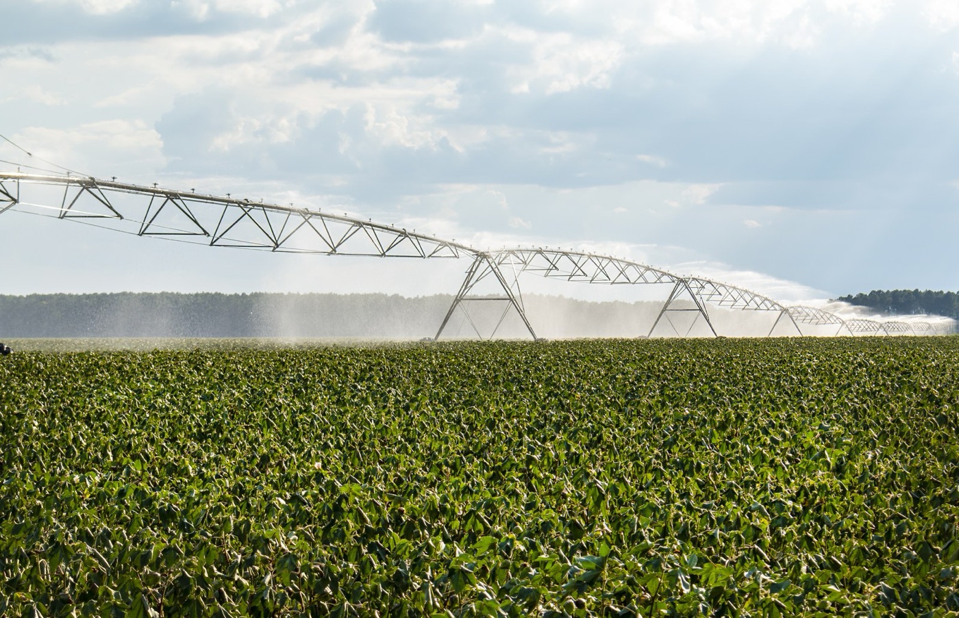 A pivot irrigator over cotton. This is what the water in a t-shirt looks like while it is being spent.