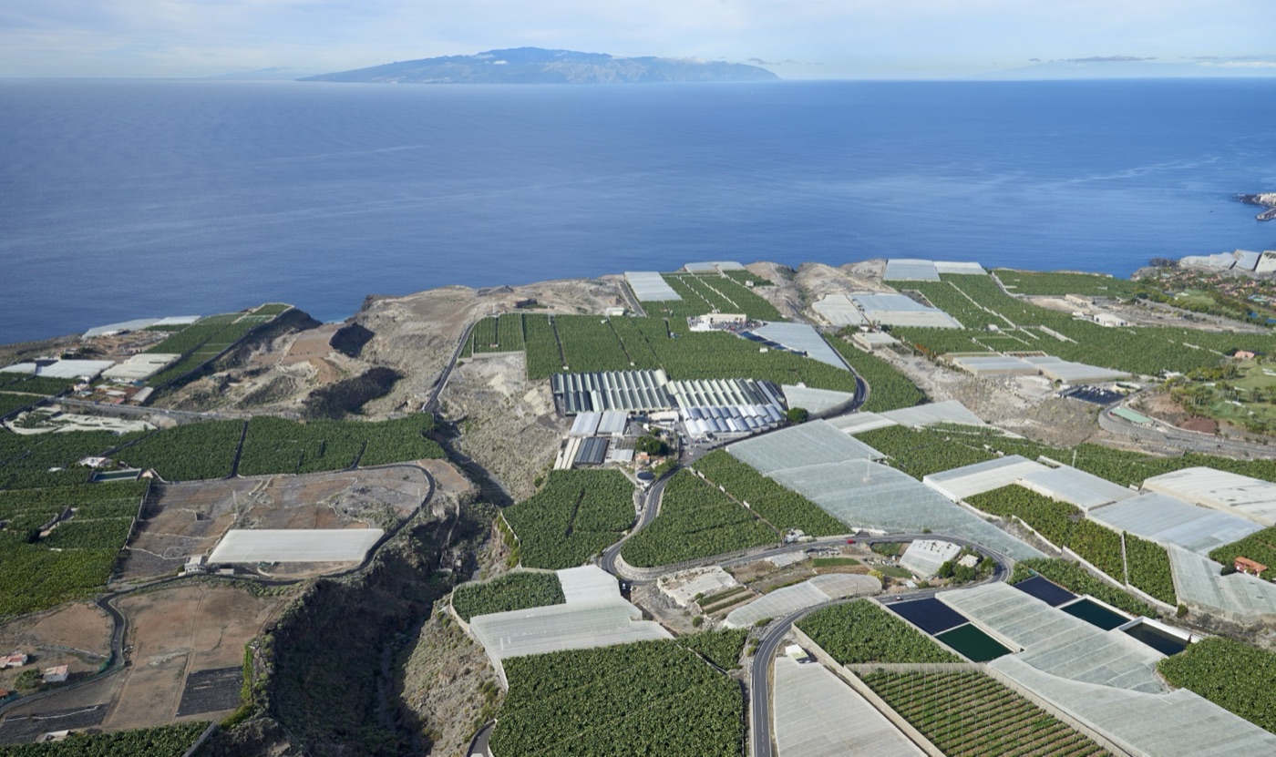 Banana terraces on Tenerife. The Canary Islands grow bananas on volcanic rock, irrigated from mountain tunnels and desalination plants.