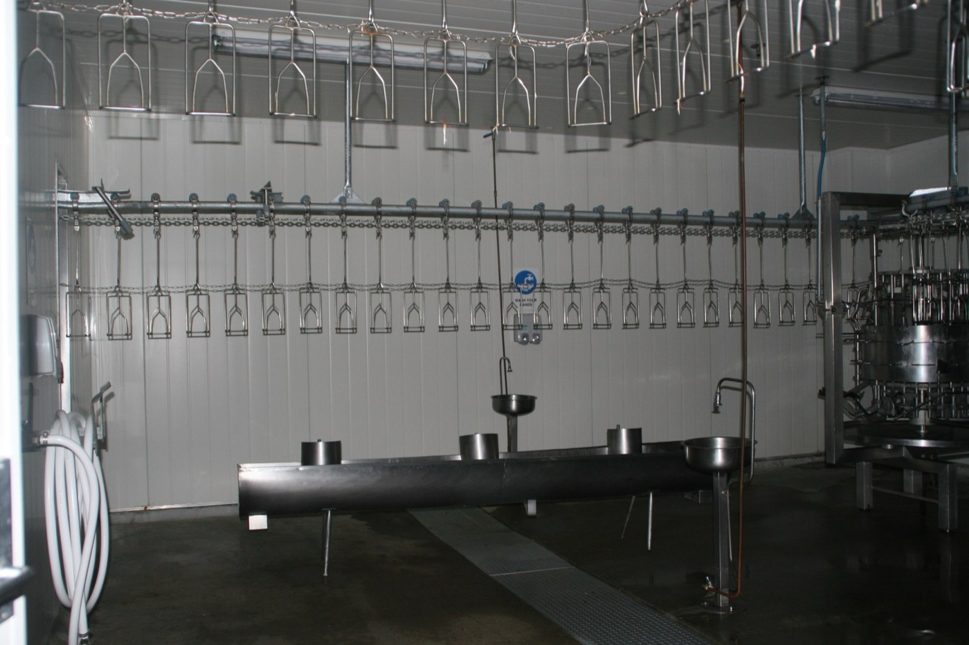 The shackle line of a poultry plant. Twenty to thirty litres of water go through the plant for every bird.