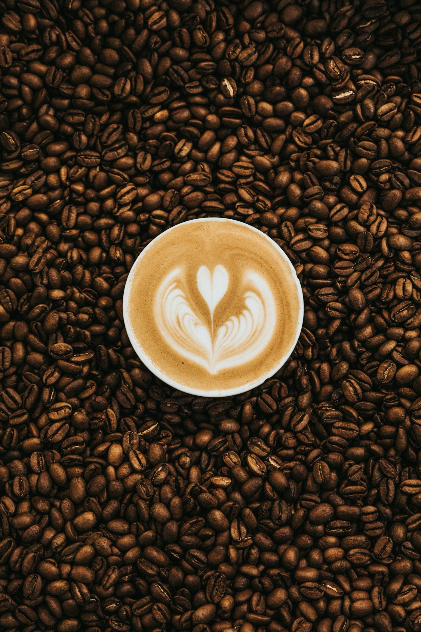 Seven grams of roasted beans per cup. At roughly 18,900 litres per kilogram, that is about 132 litres before the kettle is switched on.