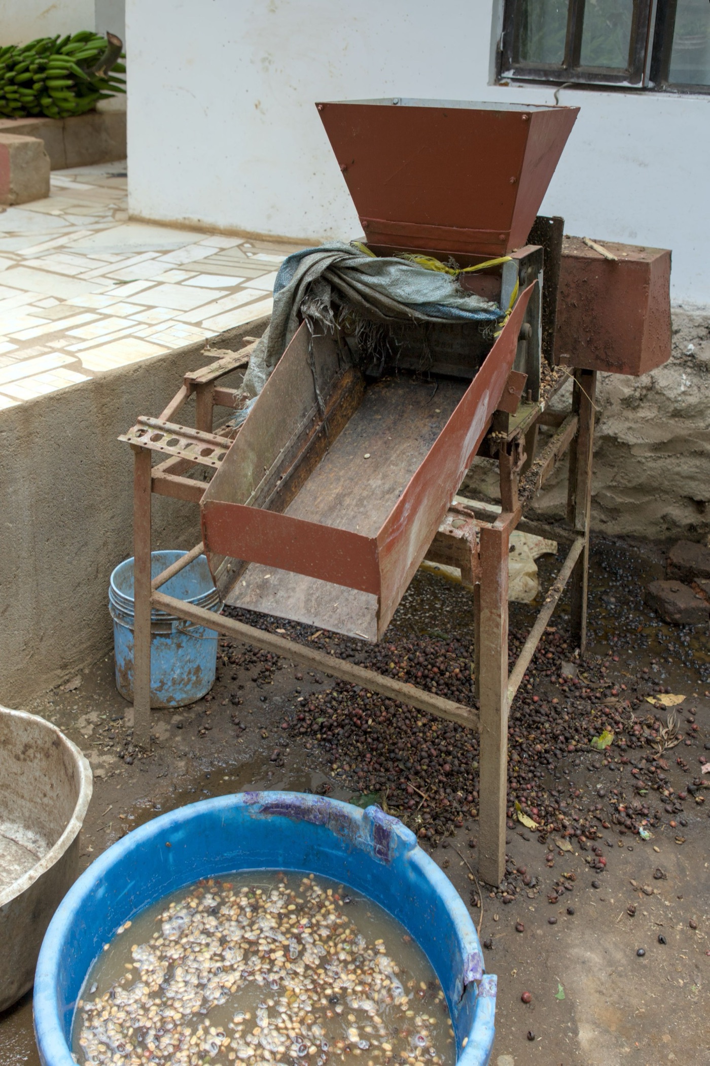 A pulping machine and its washing tank on a farm in Tanzania. The wash water leaves full of sugar, and a river would treat it as food.
