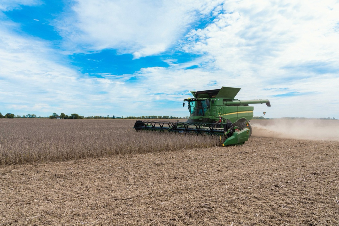 Harvesting soybeans. Soy meal is the protein in a laying hen's ration.