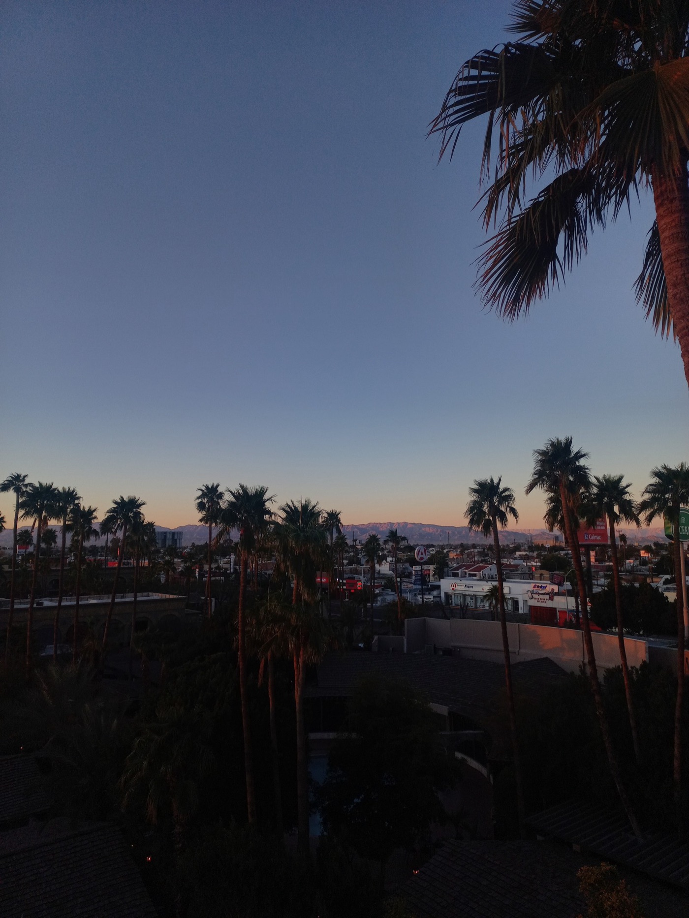 Sunrise over Mexicali, the desert city that voted three to one against a brewery that wanted twenty million litres a day.