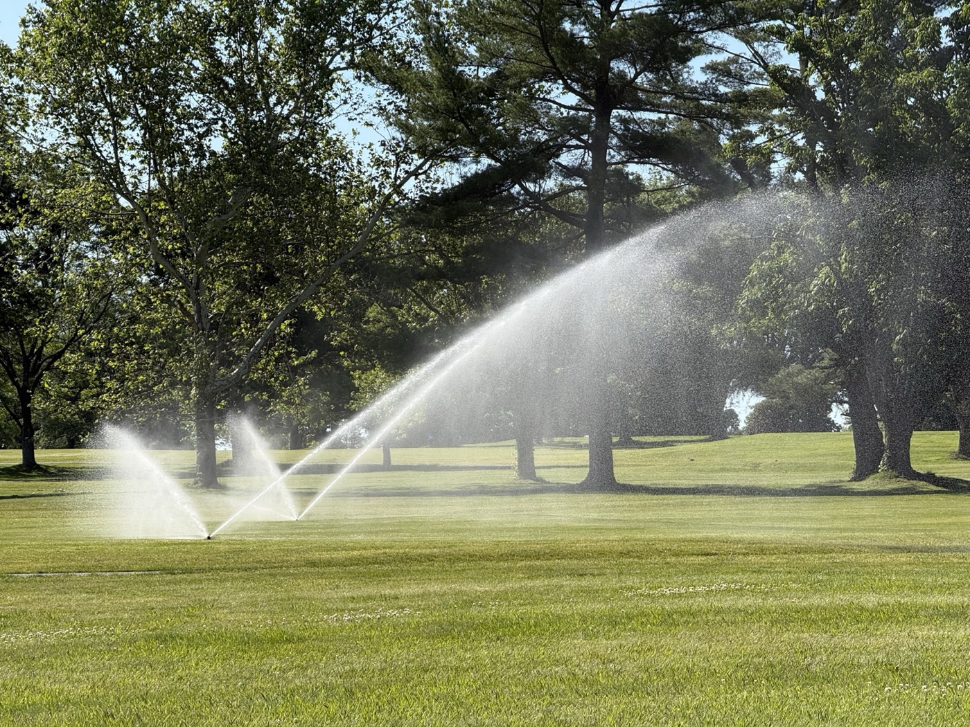 A sprinkler on a green. Greens and tees get the most water and the most attention; the fairways are where the volume goes.