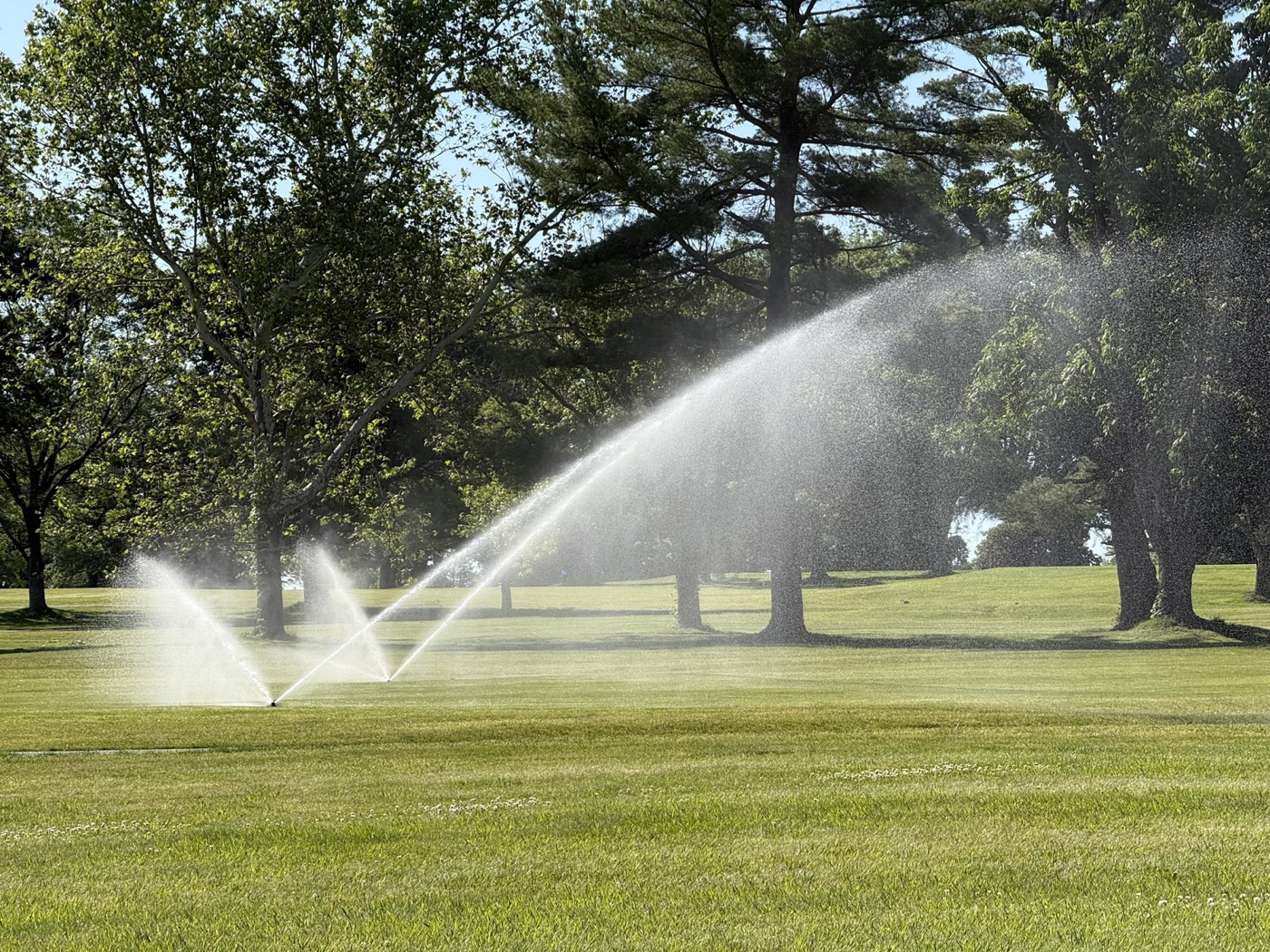 Sprinklers on a course. A golf course in a dry climate drinks the water of a town of ten thousand people.