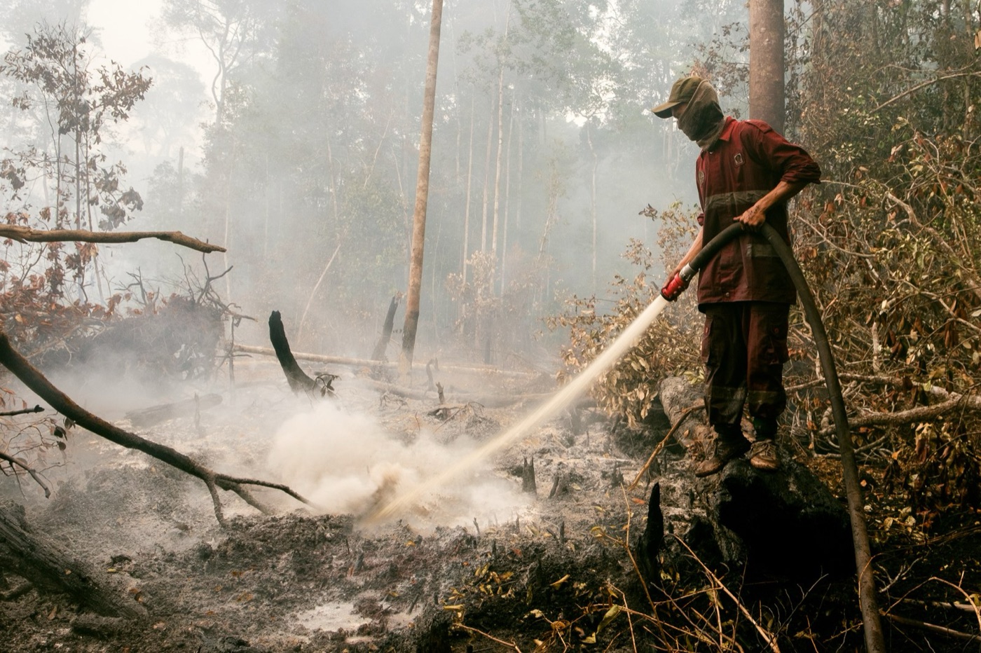 Fighting a peat fire in Indonesia. Drained peat is fuel, and the fires burn every dry season.