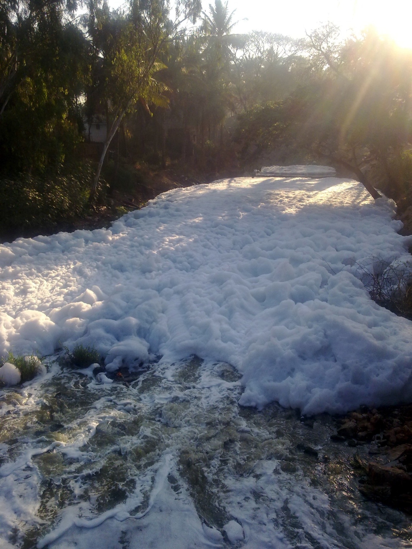 Foam at the outlet of Bellandur lake. Sewage and detergent froth up, blow across the roads, and have caught fire.