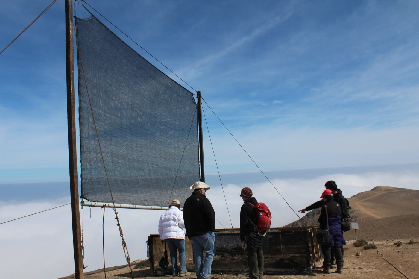 A fog net on a ridge above the coast. The mesh catches the garúa that never falls as rain.