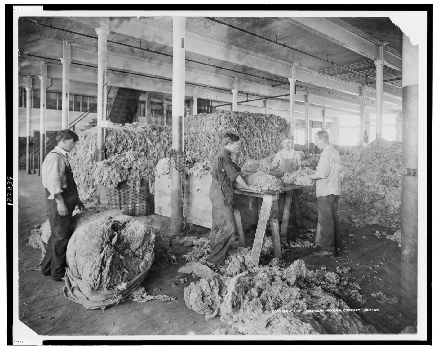 Sorting and grading raw fleeces. About half the weight is grease, dirt and dung, and it all comes out at the scour.
