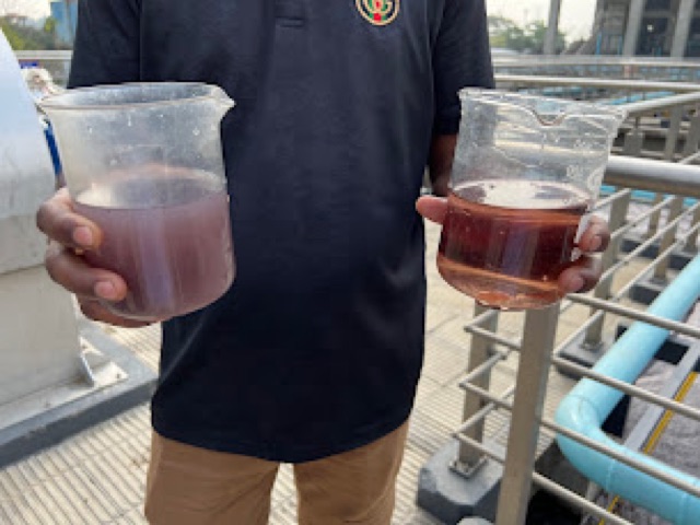 Two beakers of water side by side