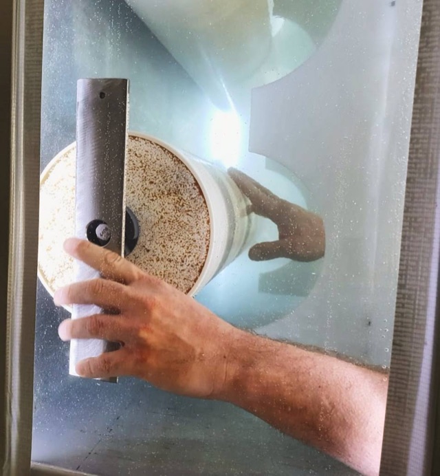 A hand reaching in during a membrane test