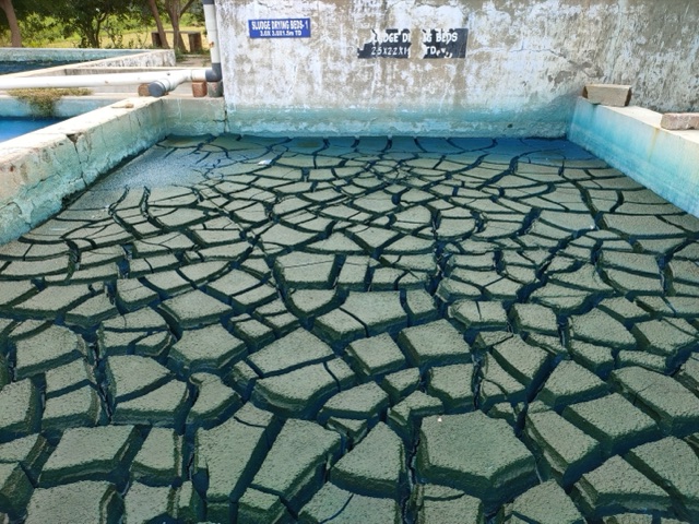 Cracked dried sludge in a drying bed